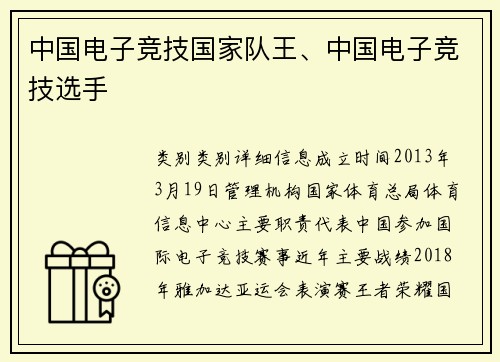 中国电子竞技国家队王、中国电子竞技选手